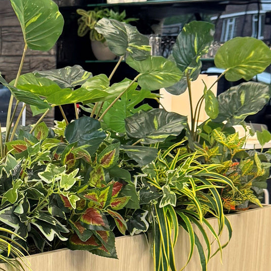 Plastic Plants in a Planter