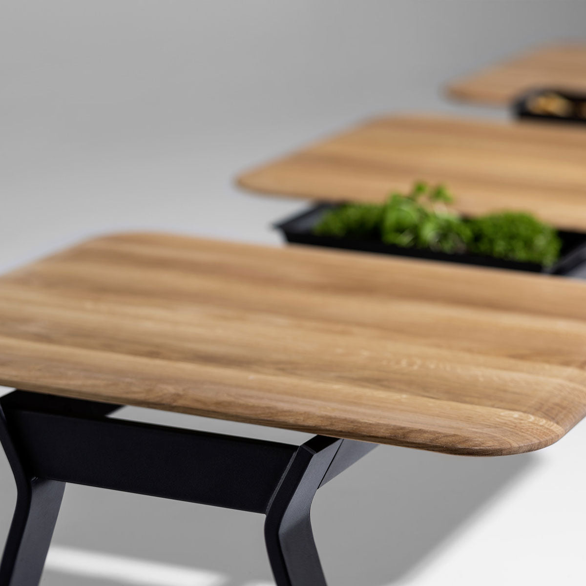 Ala Dining Table Oak Tabletop