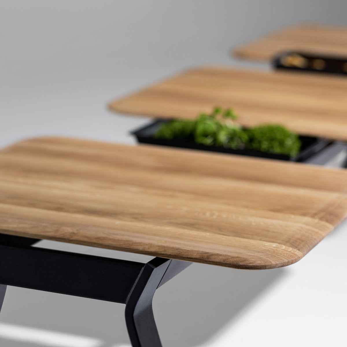 Ala Dining Table