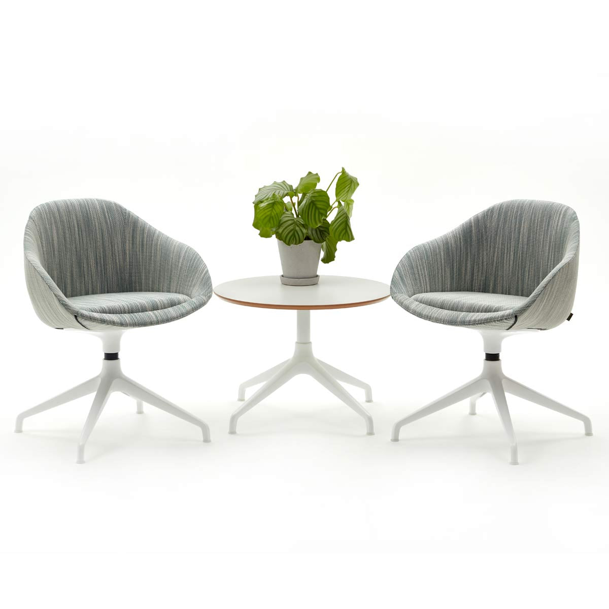 Always Chairs on Four-Star Swivel Base