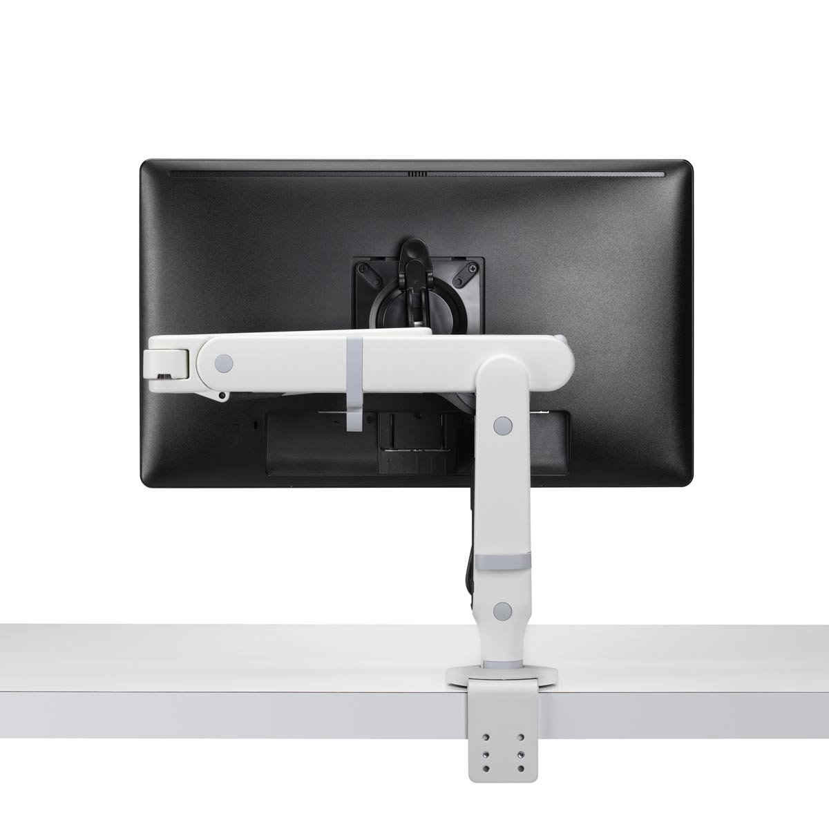 Ollin Monitor in White