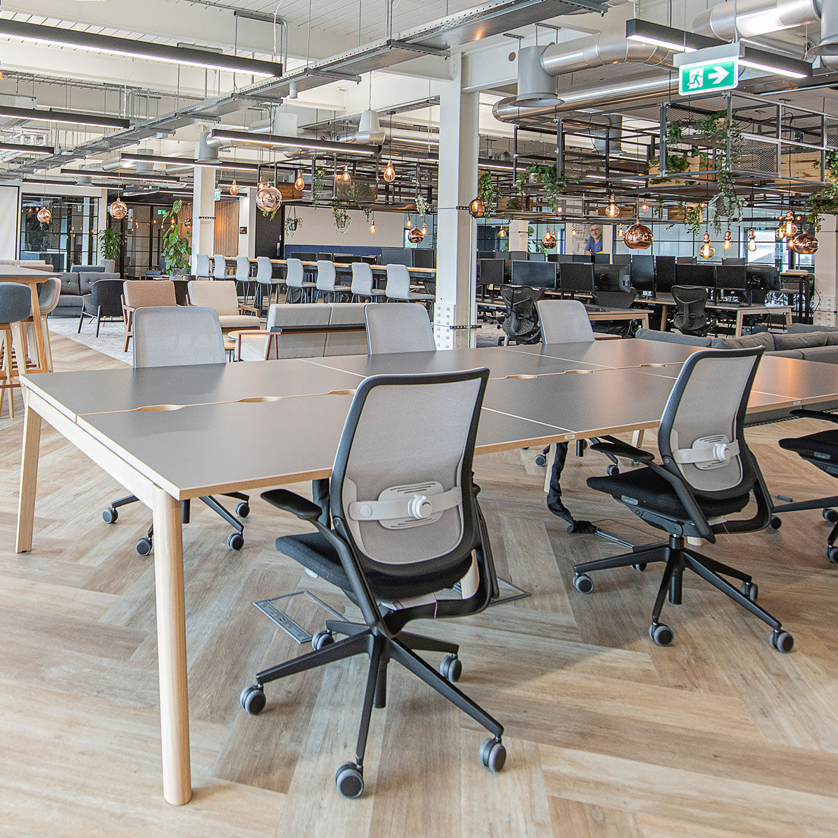 Eva Task Chairs in a Modern Office
