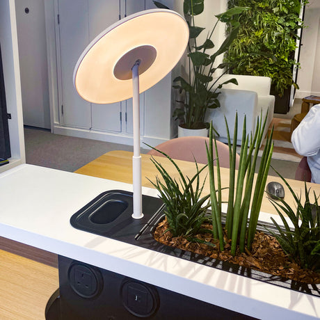 Hush Spot Work Table