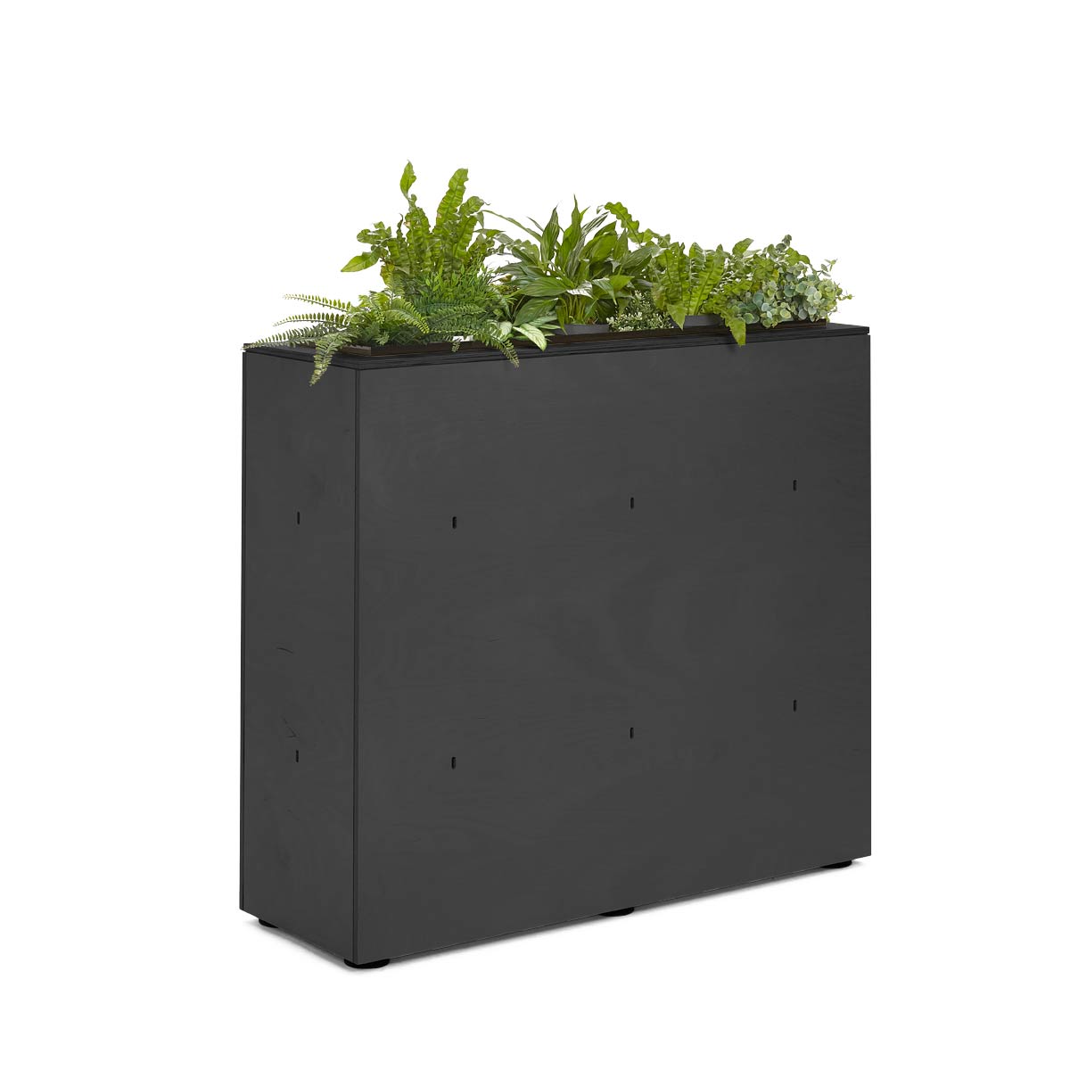 Platform Planter