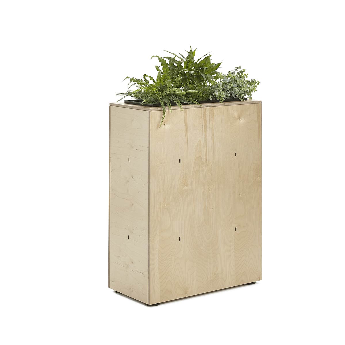 Platform Office Planter