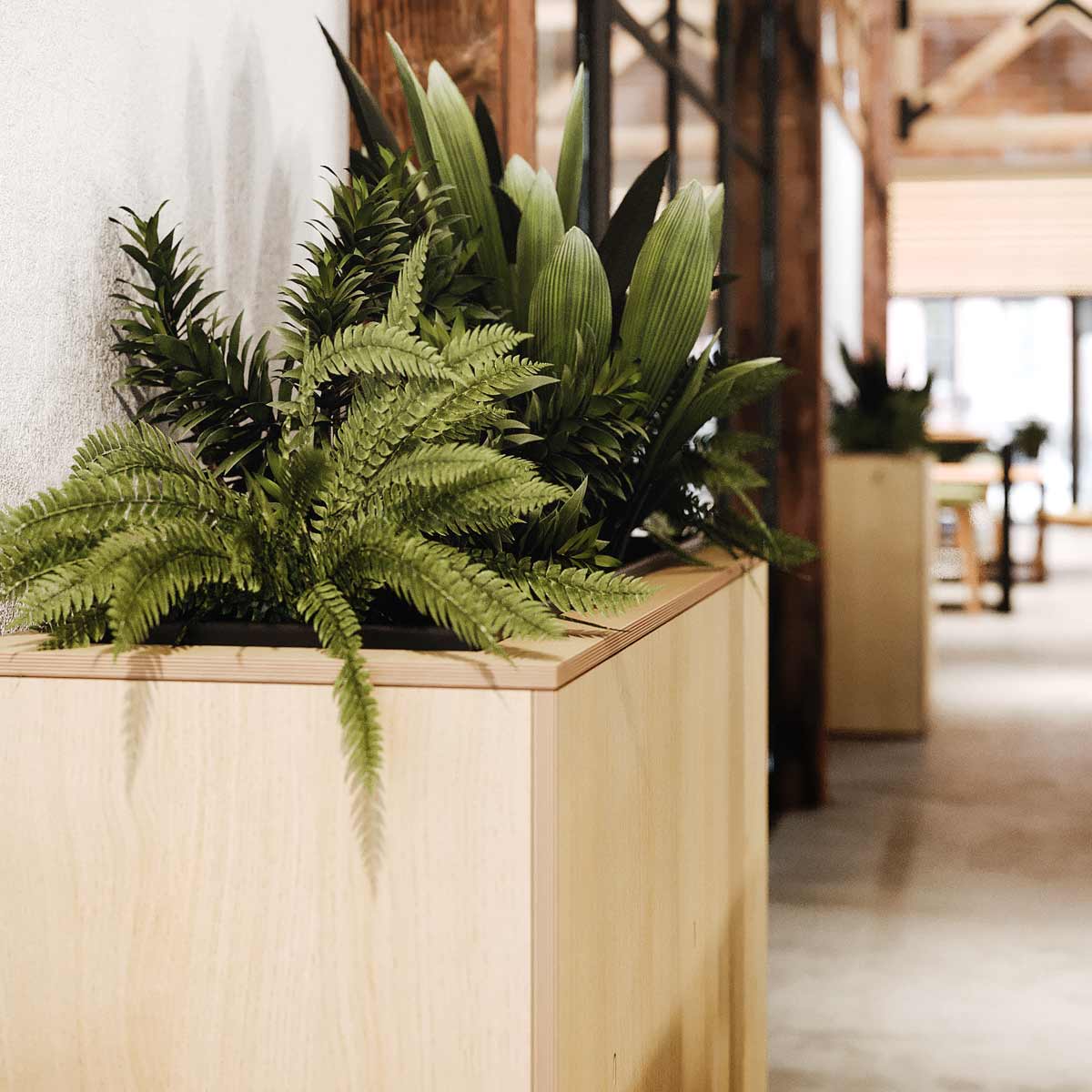 Platform Planters