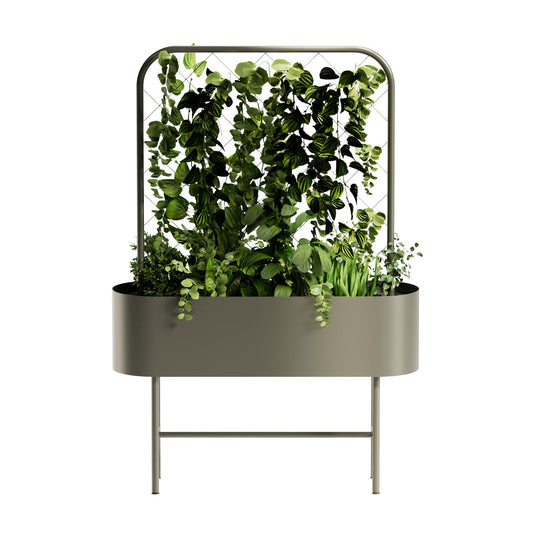 Bloom Room Divider Planter With Creeper Stand