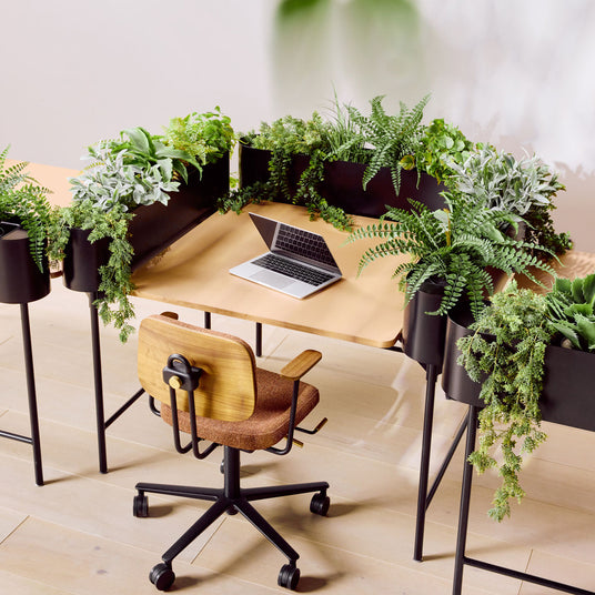Bloom Touchdown PLanter Workstation