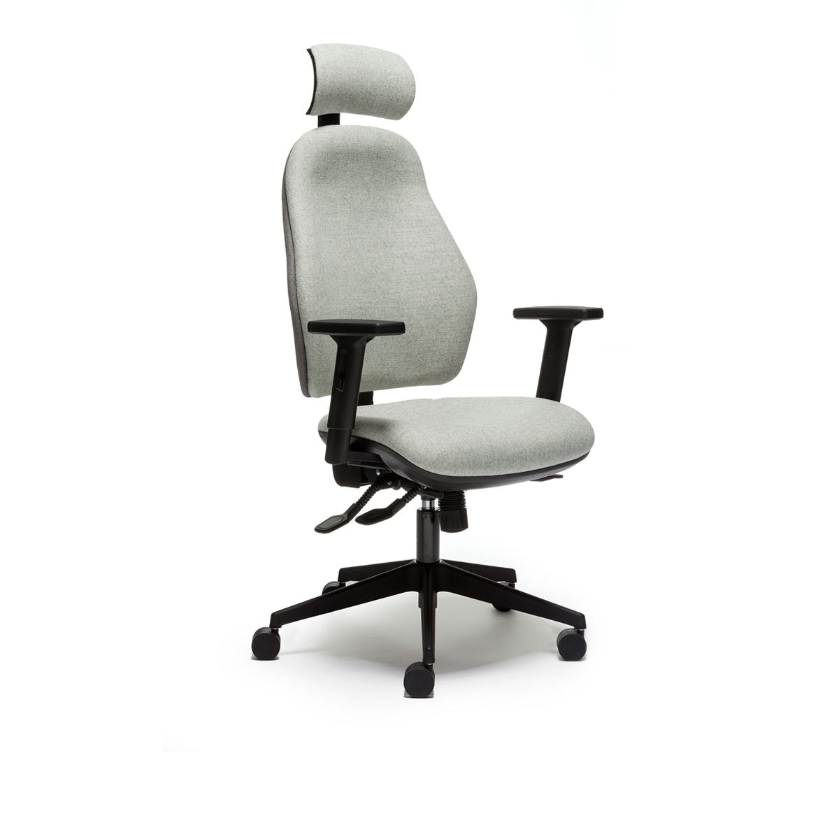 Othopaedica High Back Task Chair