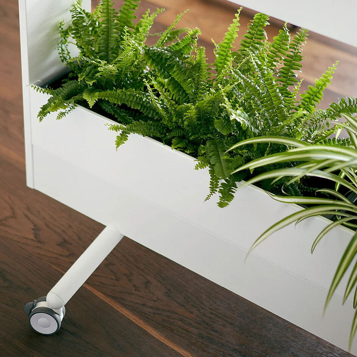 se:Lab Mobile Planter