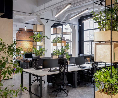 Transforming Spaces: Your Guide to Office Fit-Outs with Furnify