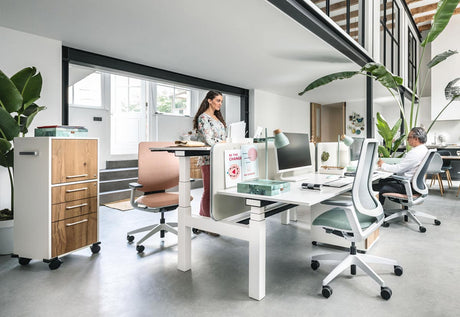 Sit-Stand Bench Desks