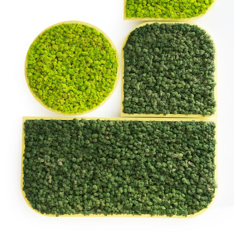 BuzziMood Acoutic Wall Panels