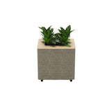 Roam Planter