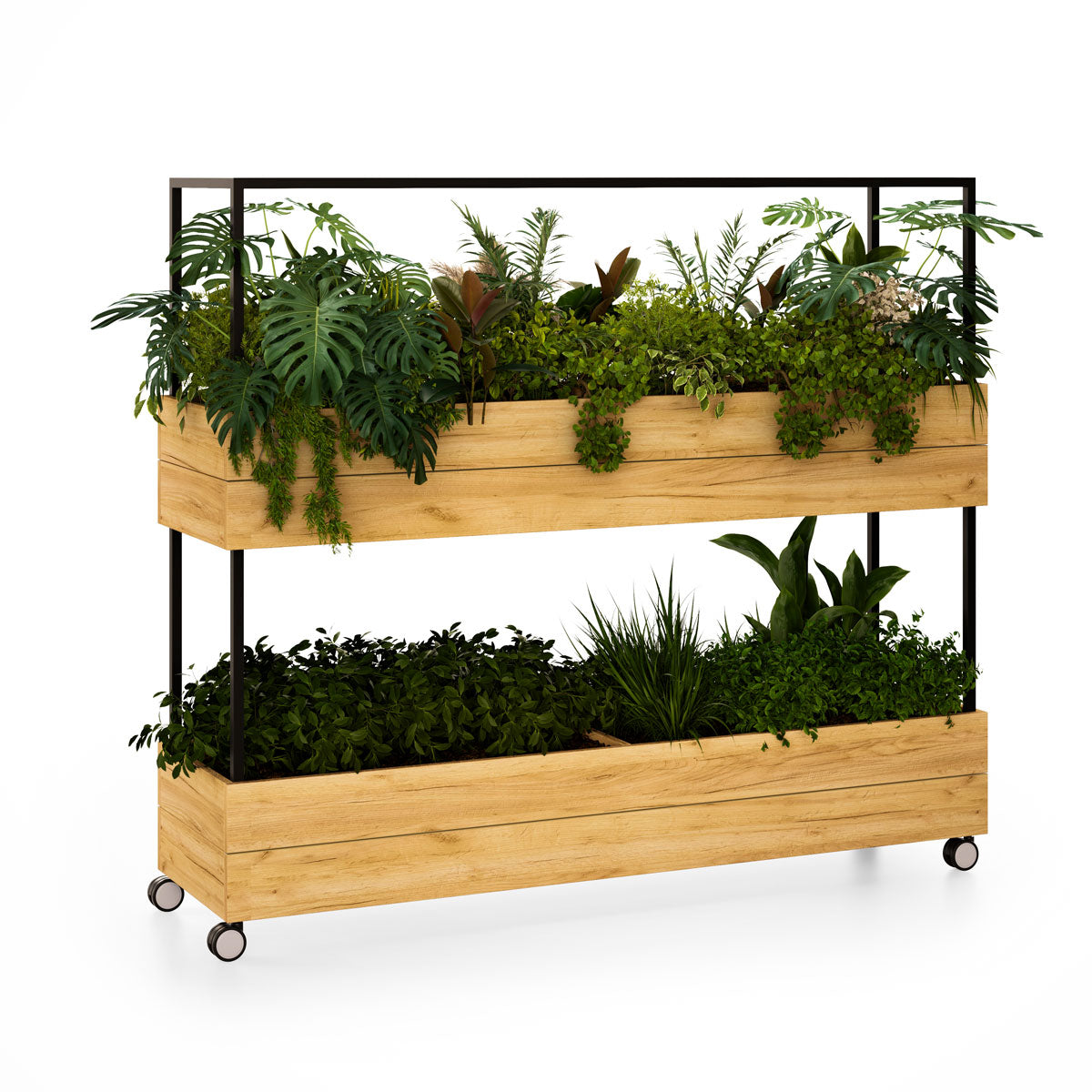 Kew Office Planter