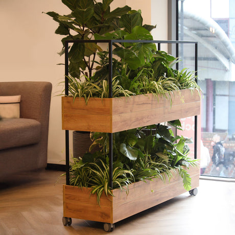Kew Office Planter