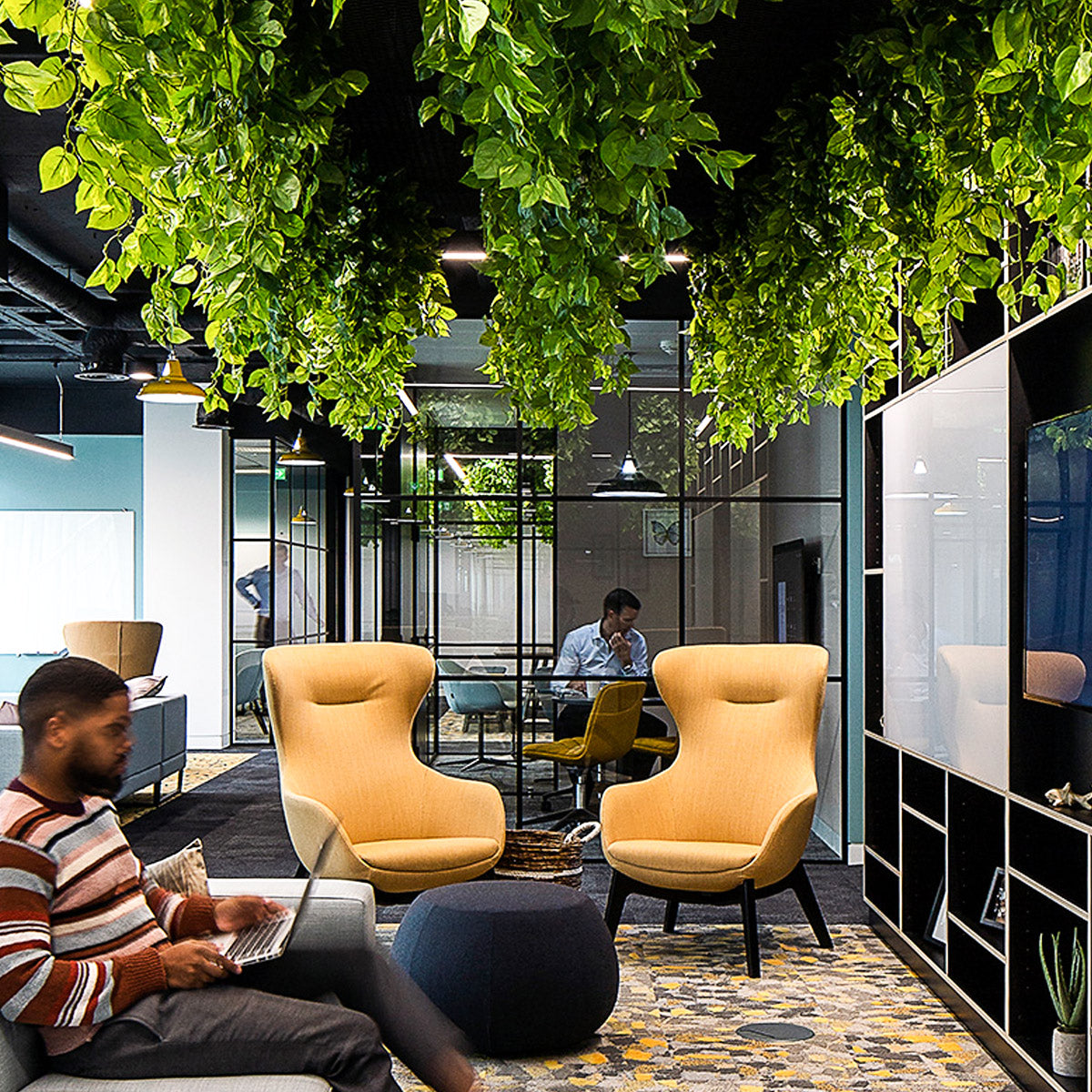 Ilk Lounge Chairs