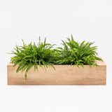 Planter Extension Unit