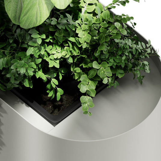 Bloom Room Divider Planter Liner