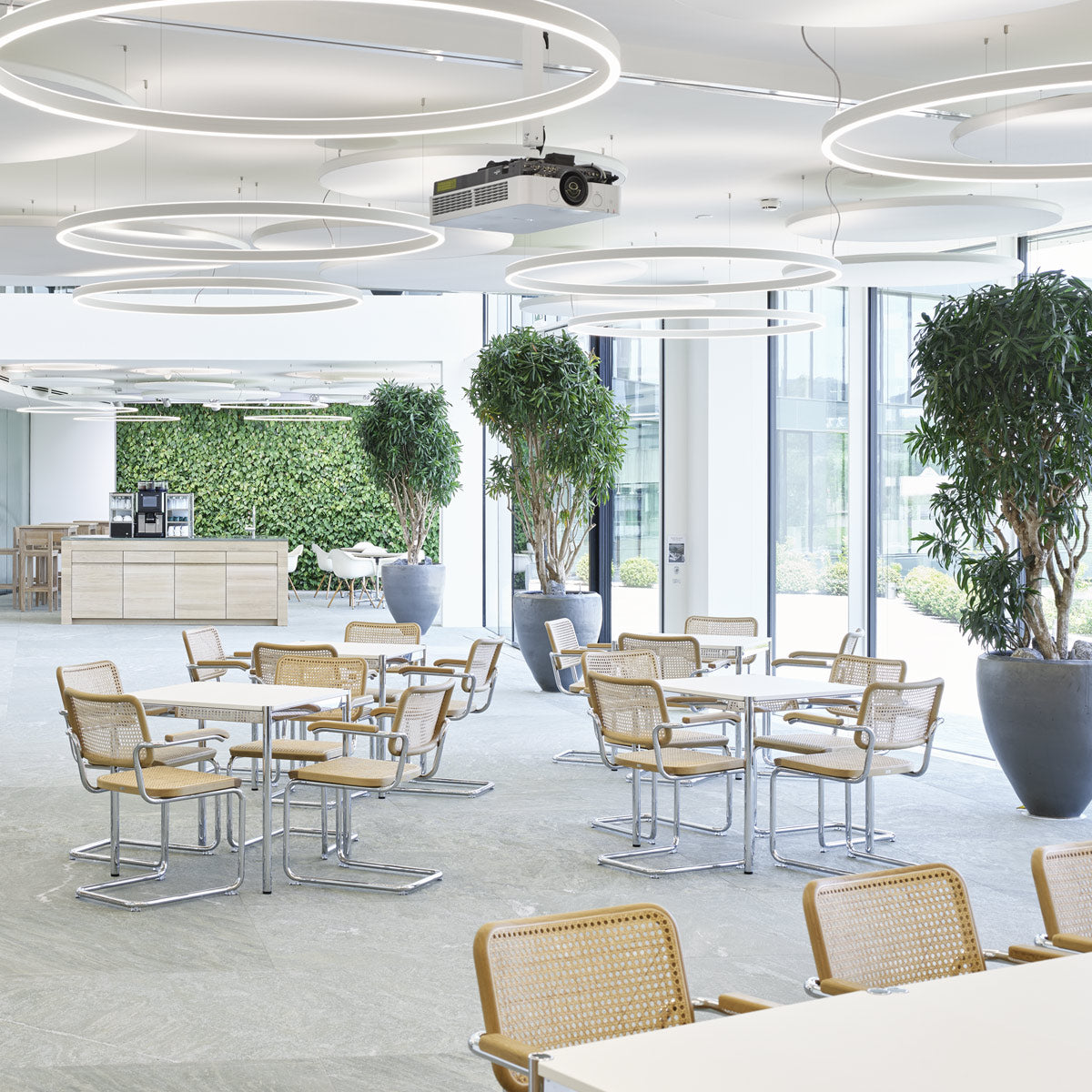 S 64 Cantilever Chair