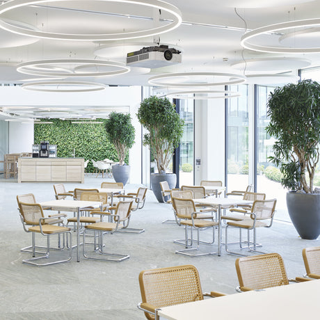 S 64 Cantilever Chair
