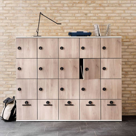 Smart Social Office Lockers