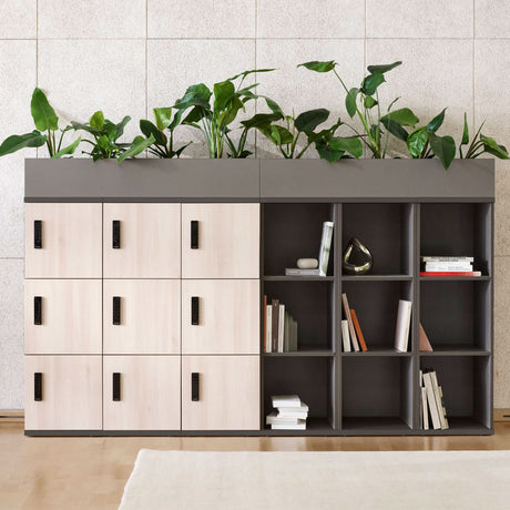 Smart Social Lockers