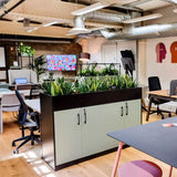 Scope Planter Unit