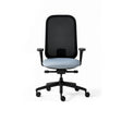 Zigi Task Chair